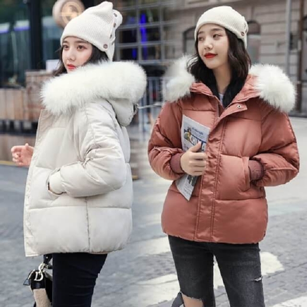 Top Các Dòng Áo Khoác Mùa Đông Cho Phái Nữ Nên Sở Hữu | Sao Mai