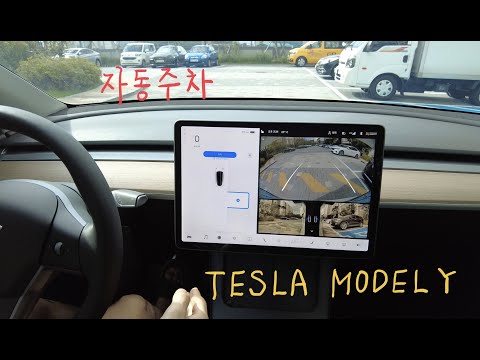 테슬라 자동주차(T자 후면 주차)/TESLA MODEL Y 테슬라 자동주차(T자 후면 주차)/TESLA MODEL Y