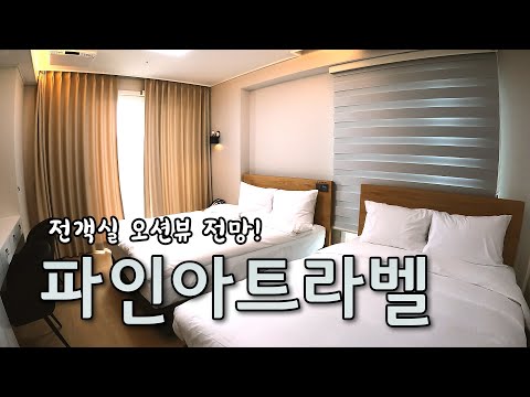 강원도여행 | 코앞에 안목해수욕장이! 가성비 좋은 강릉 오션뷰 호텔 파인아트라벨 강원도여행 | 코앞에 안목해수욕장이! 가성비 좋은 강릉 오션뷰 호텔 파인아트라벨
