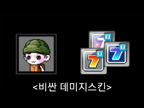 메이플 돈버는법 - 비싼 데미지스킨 메이플 돈버는법 - 비싼 데미지스킨