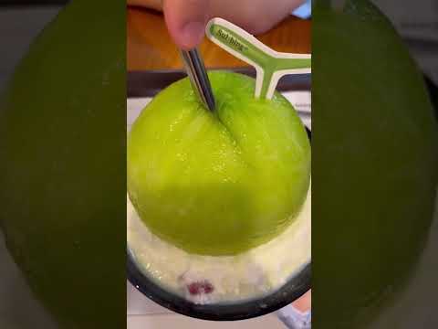 설빙에서 가장 비싼 빙수 먹어보기 :: 16,900원짜리 메론빙수 | 이미지랑 좀 다른데 ...? #설빙 #shorts #맛집 설빙에서 가장 비싼 빙수 먹어보기 :: 16,900원짜리 메론빙수 | 이미지랑 좀 다른데 ...? #설빙 #shorts #맛집