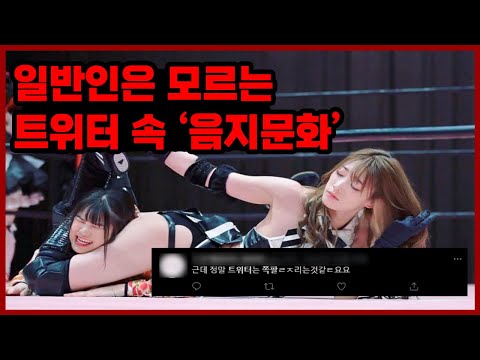 일반인은 모르는 트위터의 충격적인 음지문화 일반인은 모르는 트위터의 충격적인 음지문화