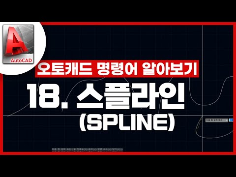 [기초인듯 기초아닌] 오토캐드 기초 명령어 - SPLINE / 스플라인