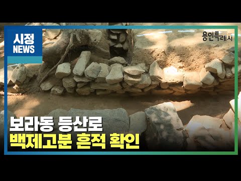 [용인시정뉴스] 보라동 등산로, 백제고분 흔적 확인